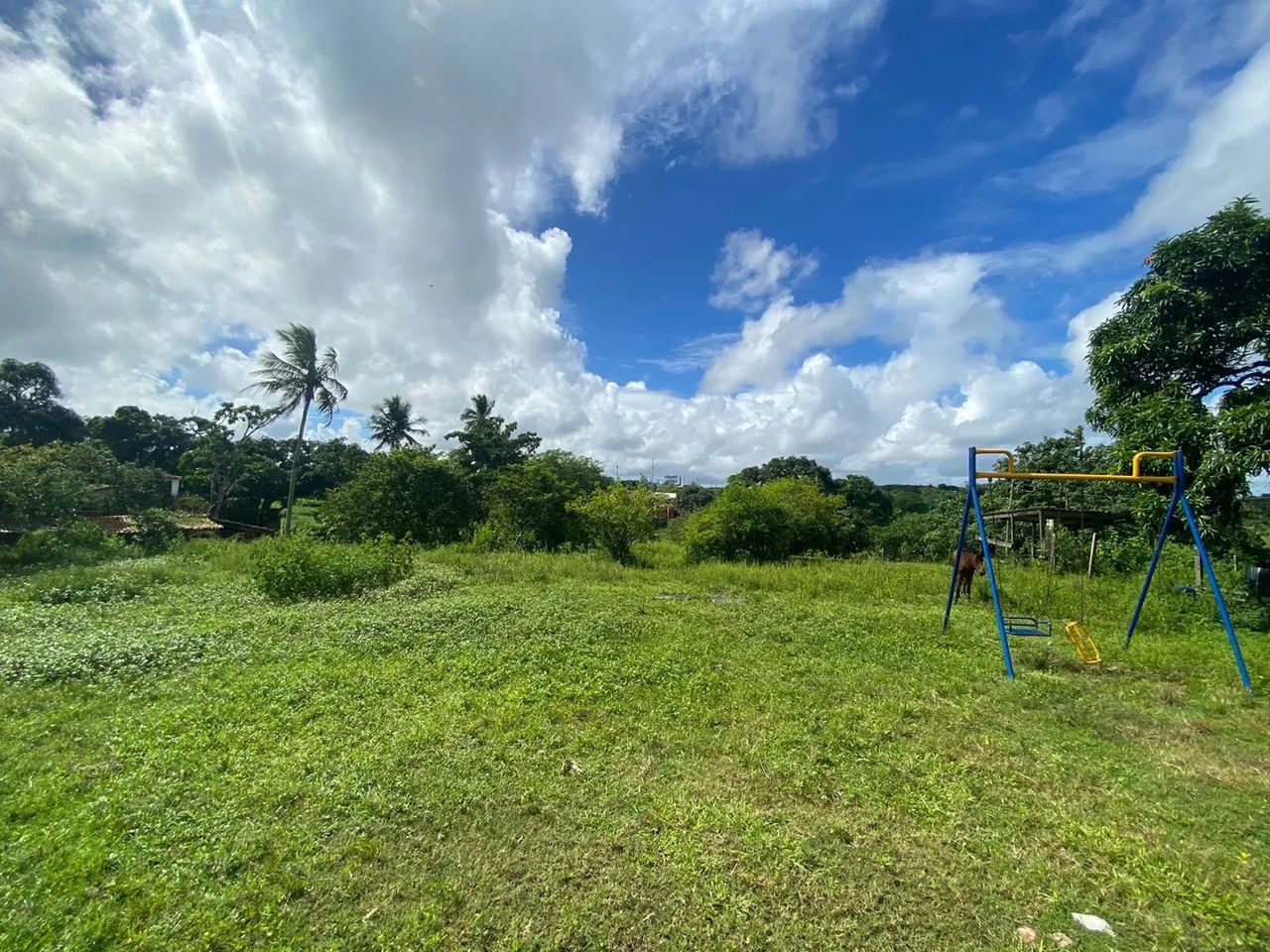 Chácara em Riachuelo-SE  - Foto 5