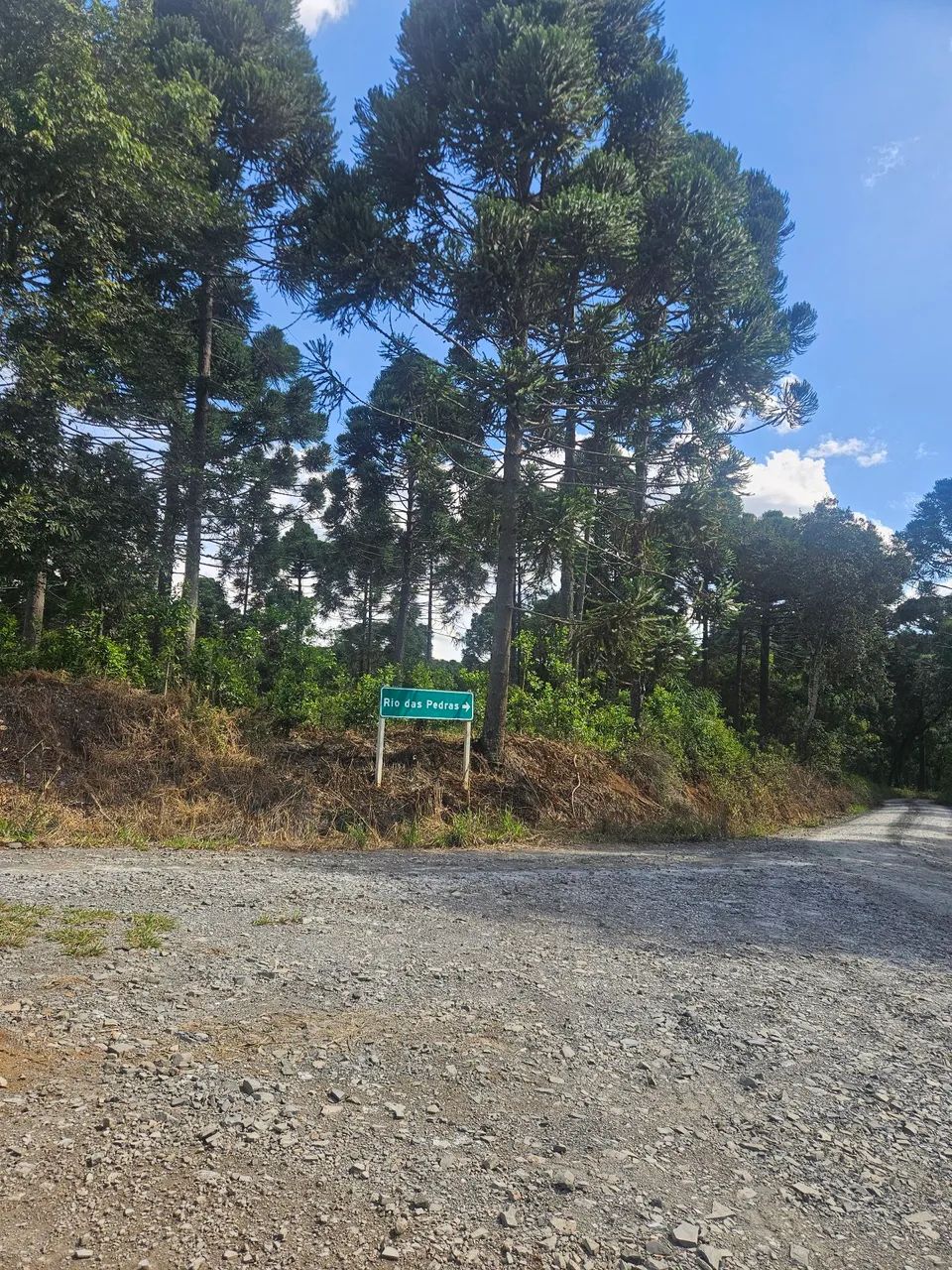 Foto - São Mateus do Sul - Vila Blasczyk