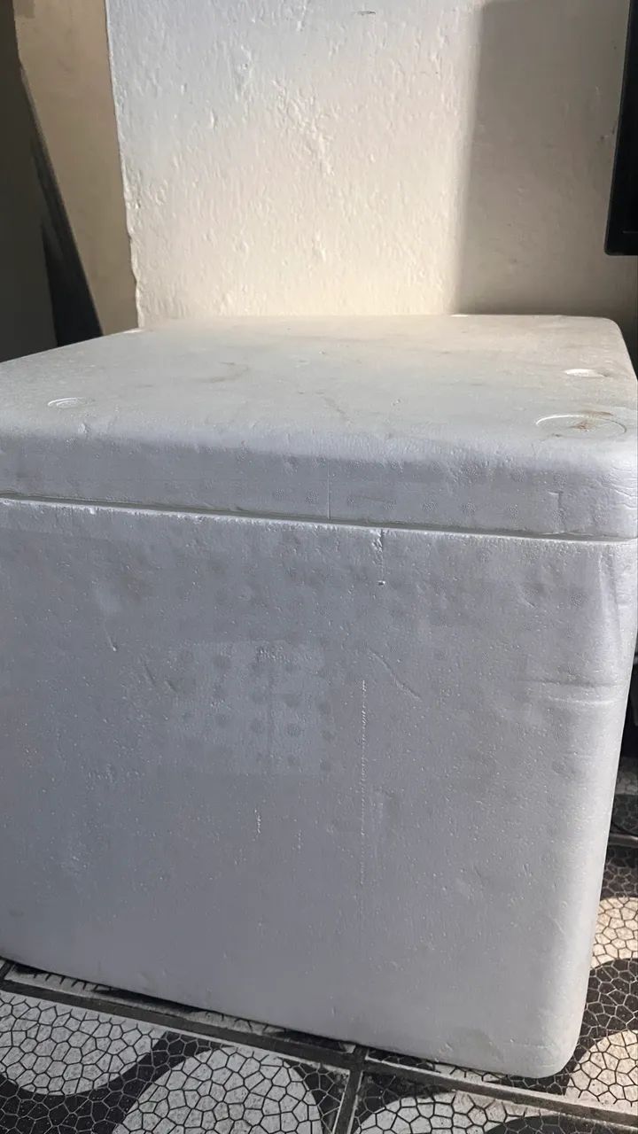 Caixa de isopor 60 Litros  - Foto 2