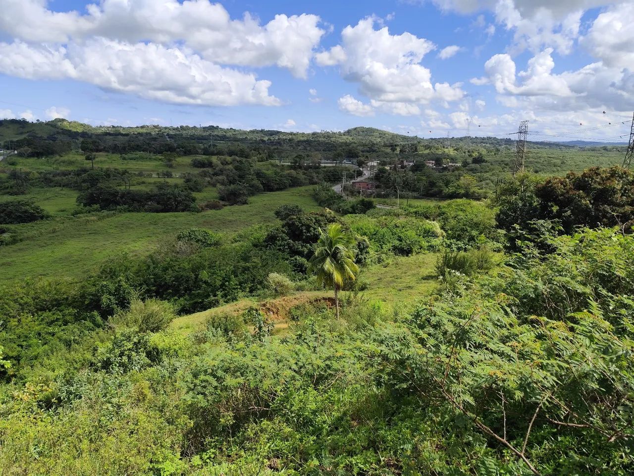 7 tarefas de terra em Cotegipe  - Foto 2