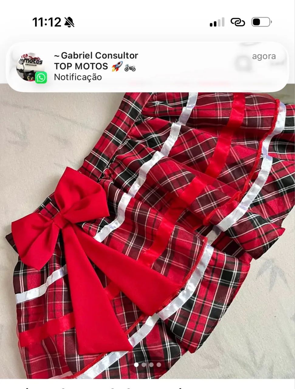 SAIA JUNINA  - Foto 2