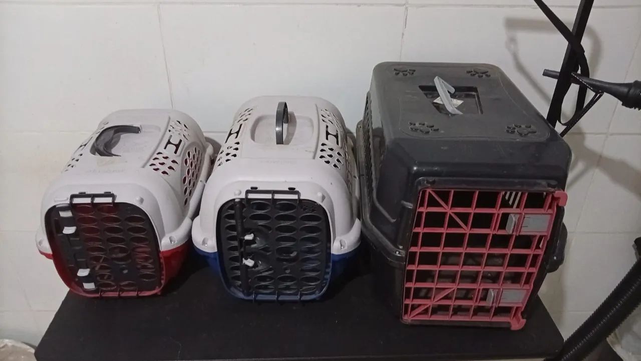 Fundo de Banho e Tosa  completo  - Foto 4