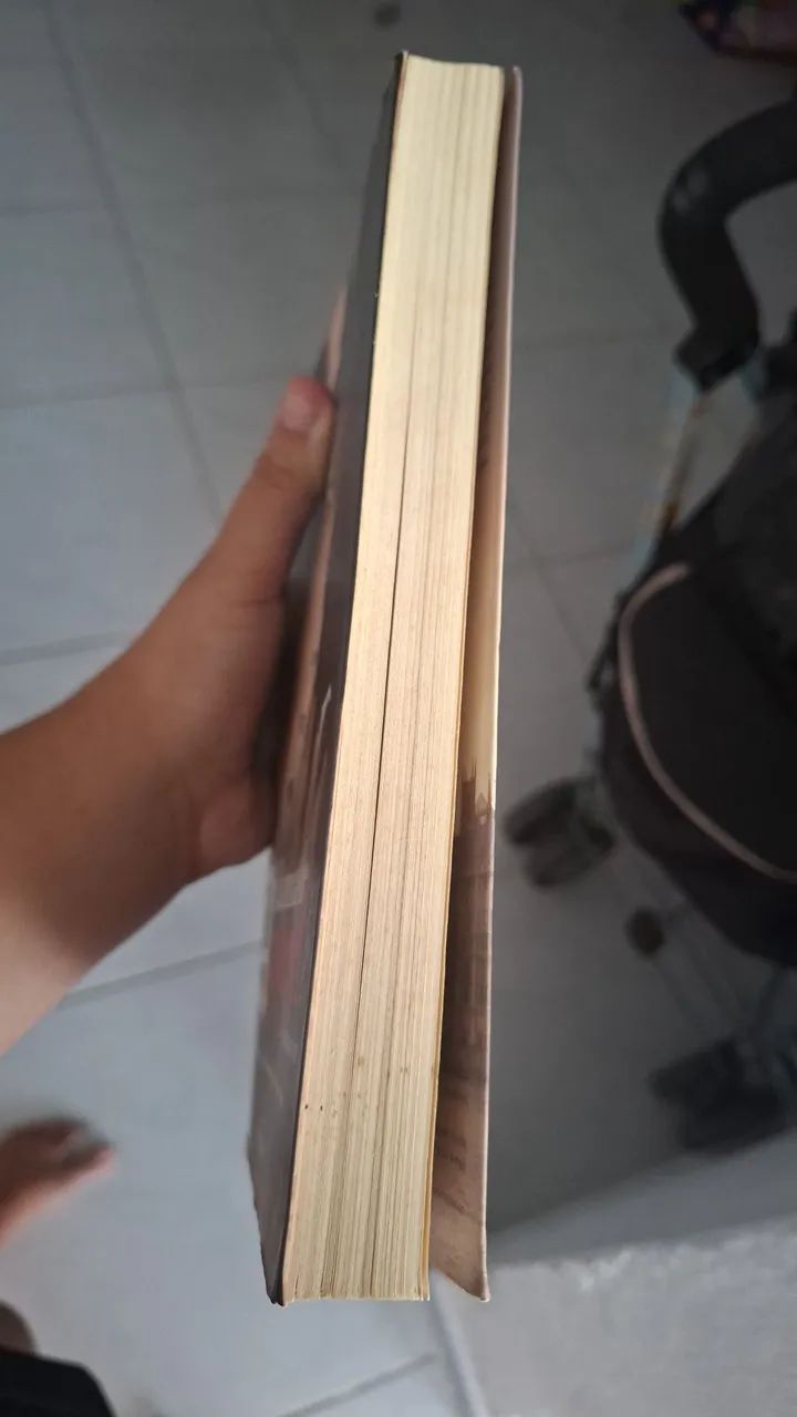 Livro A Dama de Papel (Usado) - Foto 3