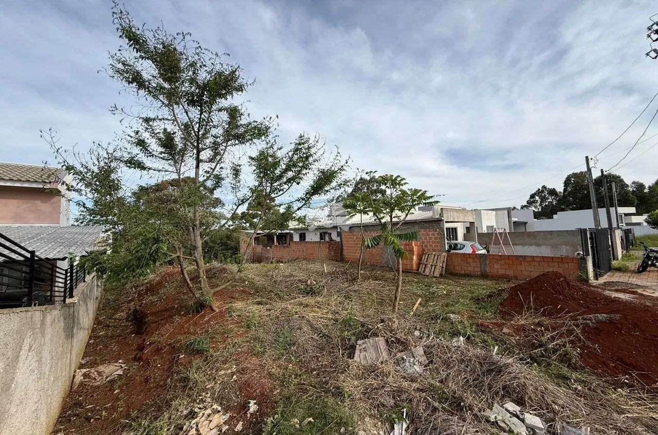 Vendas Terreno Pato Branco PR - Foto 3