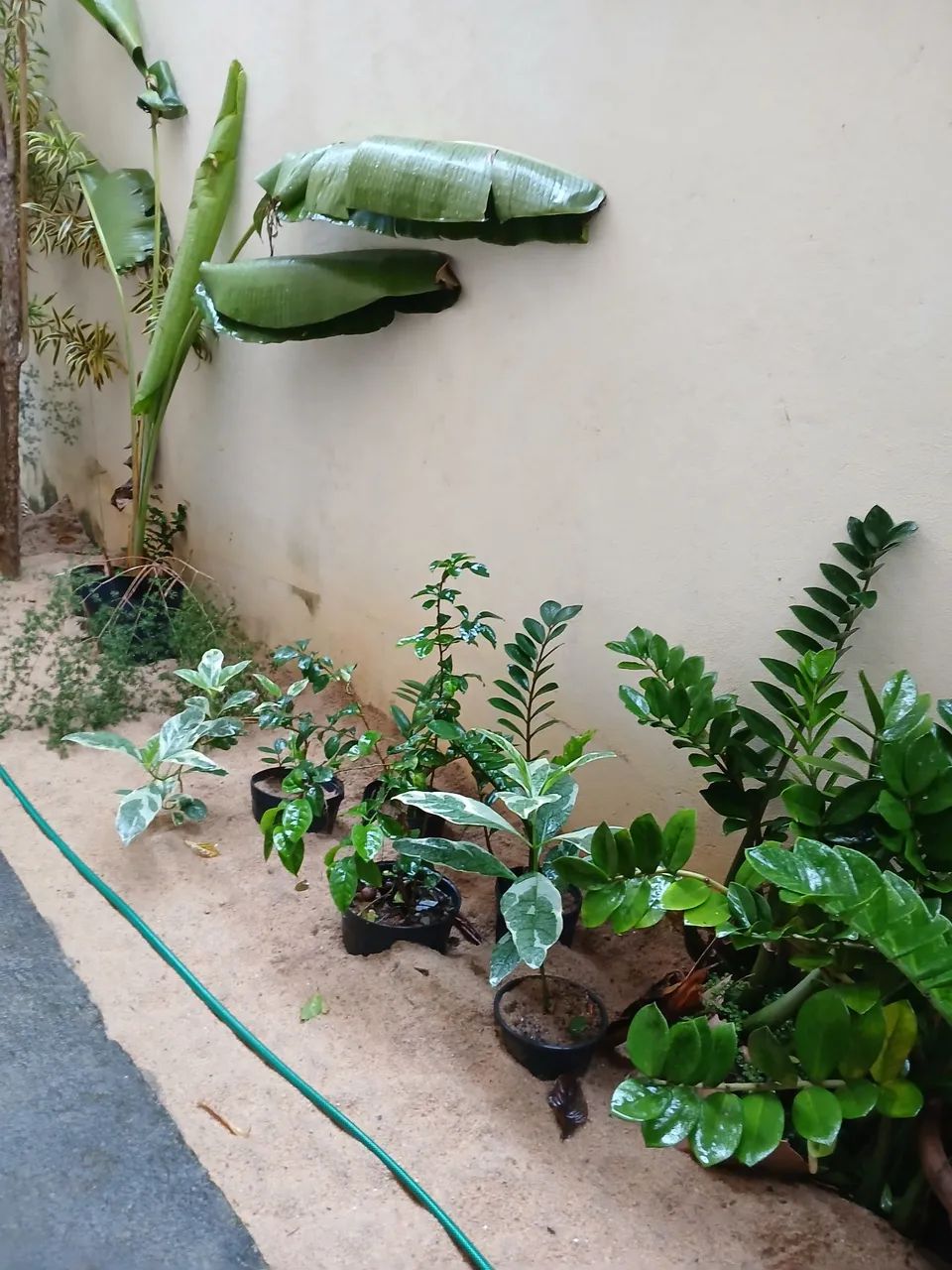 KTINET EM JARDIM CAMBURI - Foto 3