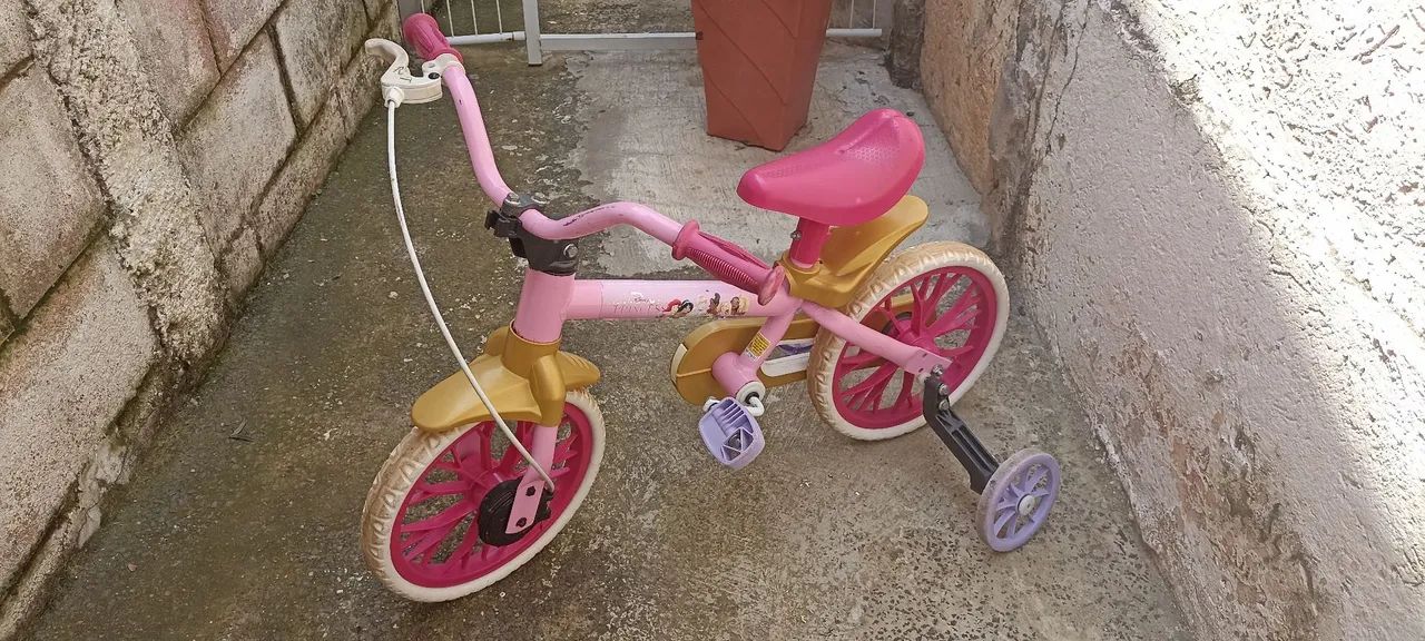 Bicicleta princesa Aro 12