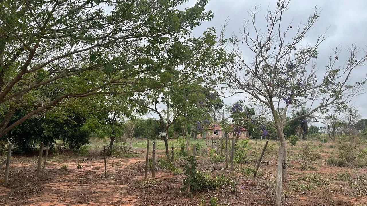 CÓD. 278 Chácara 7 ha | 30 km de Campo Grande - Foto 2