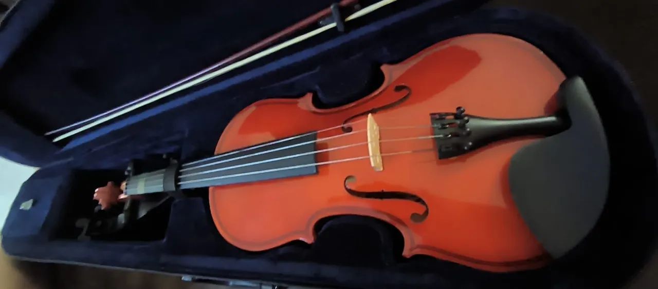 Violino Zelmer  - Foto 5