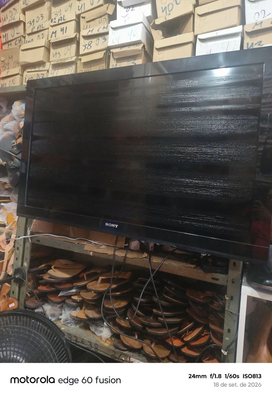 Televisão 