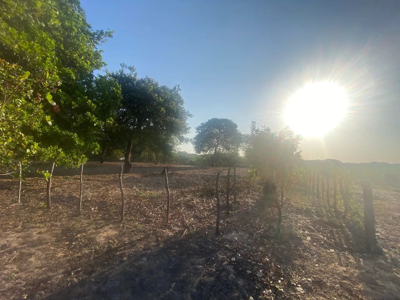 Vende-se terreno em sítio  - Foto 3