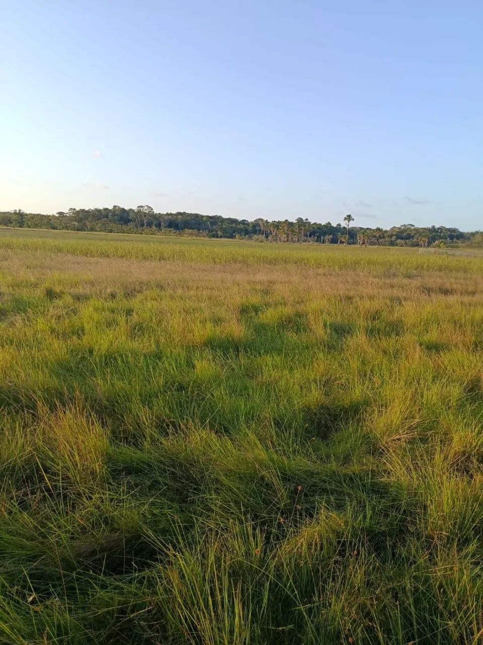 90/100 - Foto 5