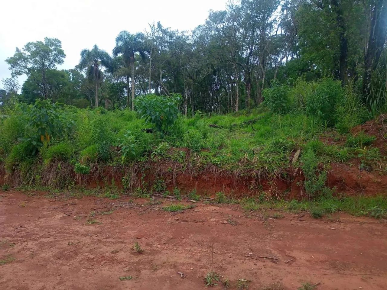 Terreno para Venda em Ibiúna, Sorocamirim