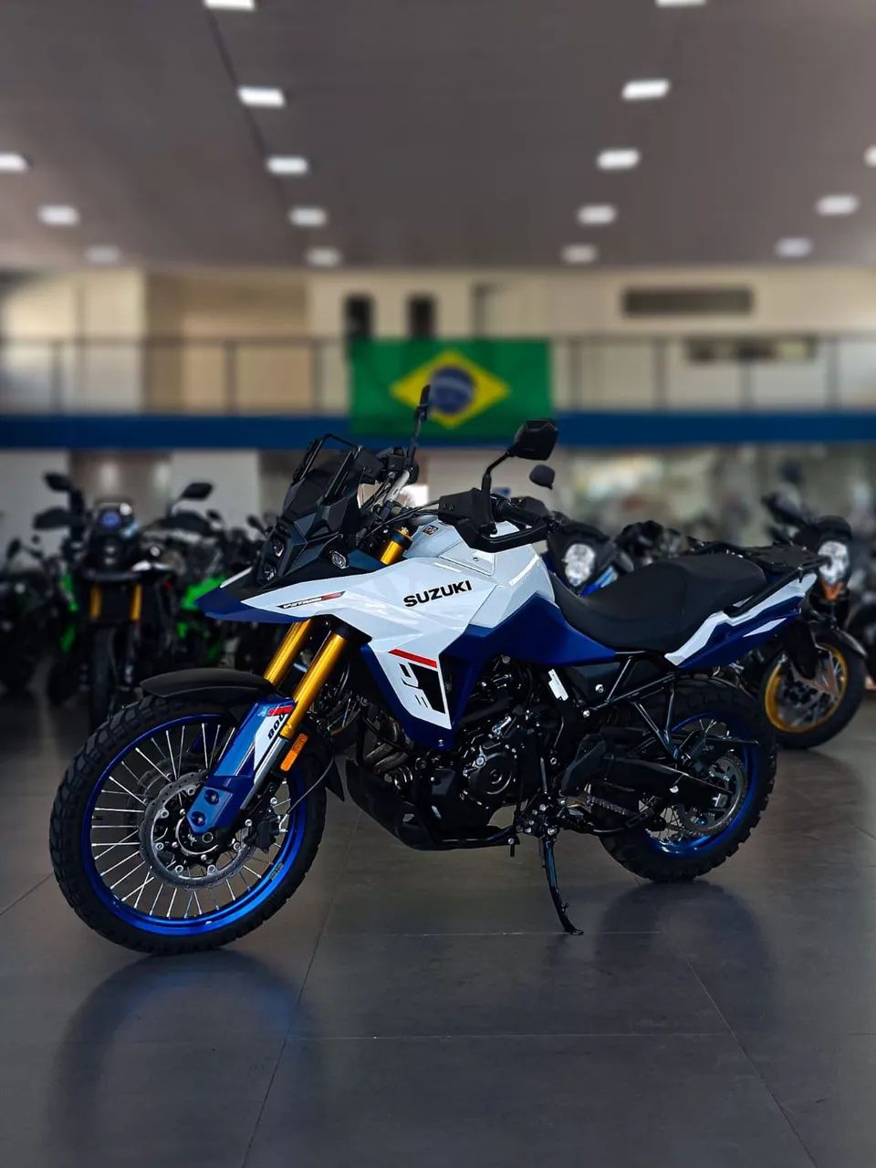 Suzuki DL 800DE 