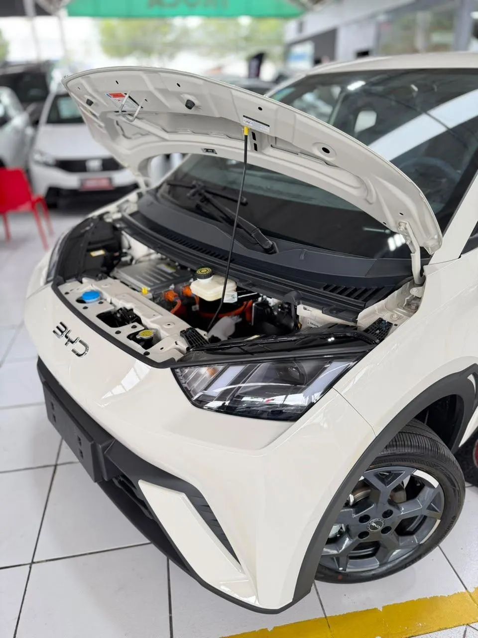 BYD Dolphin Mini (Elétrico) 2027 - Foto 3