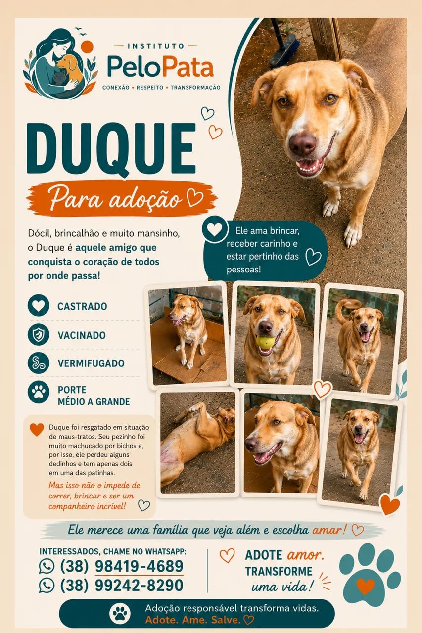 Adote!