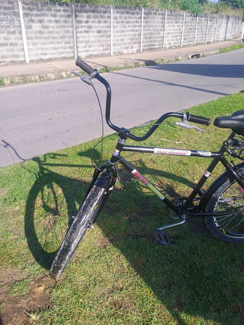 Bicicleta safari  - Foto 4