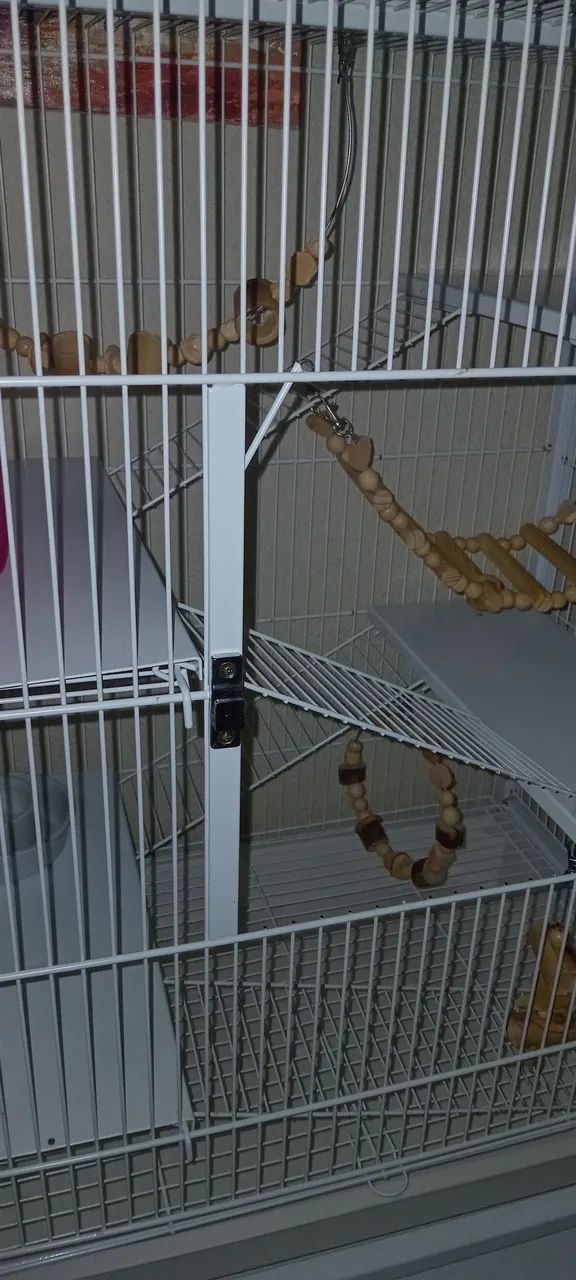 GAIOLA GAIOPAR 295 PARA RATOS TWISTERS - SEMI NOVA - Foto 4