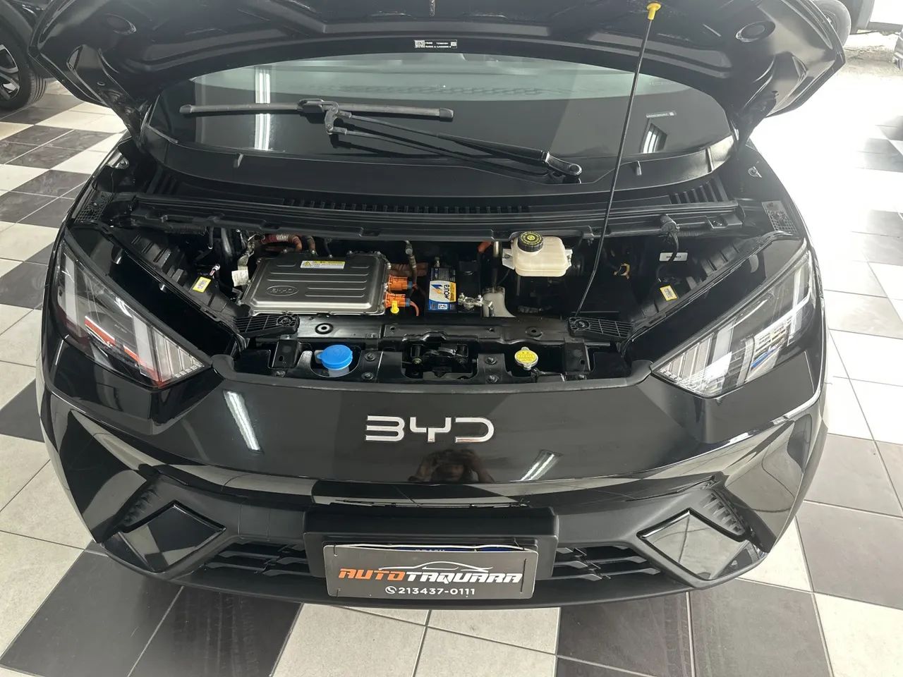BYD Dolphin Mini (Elétrico) 2025 - Foto 3