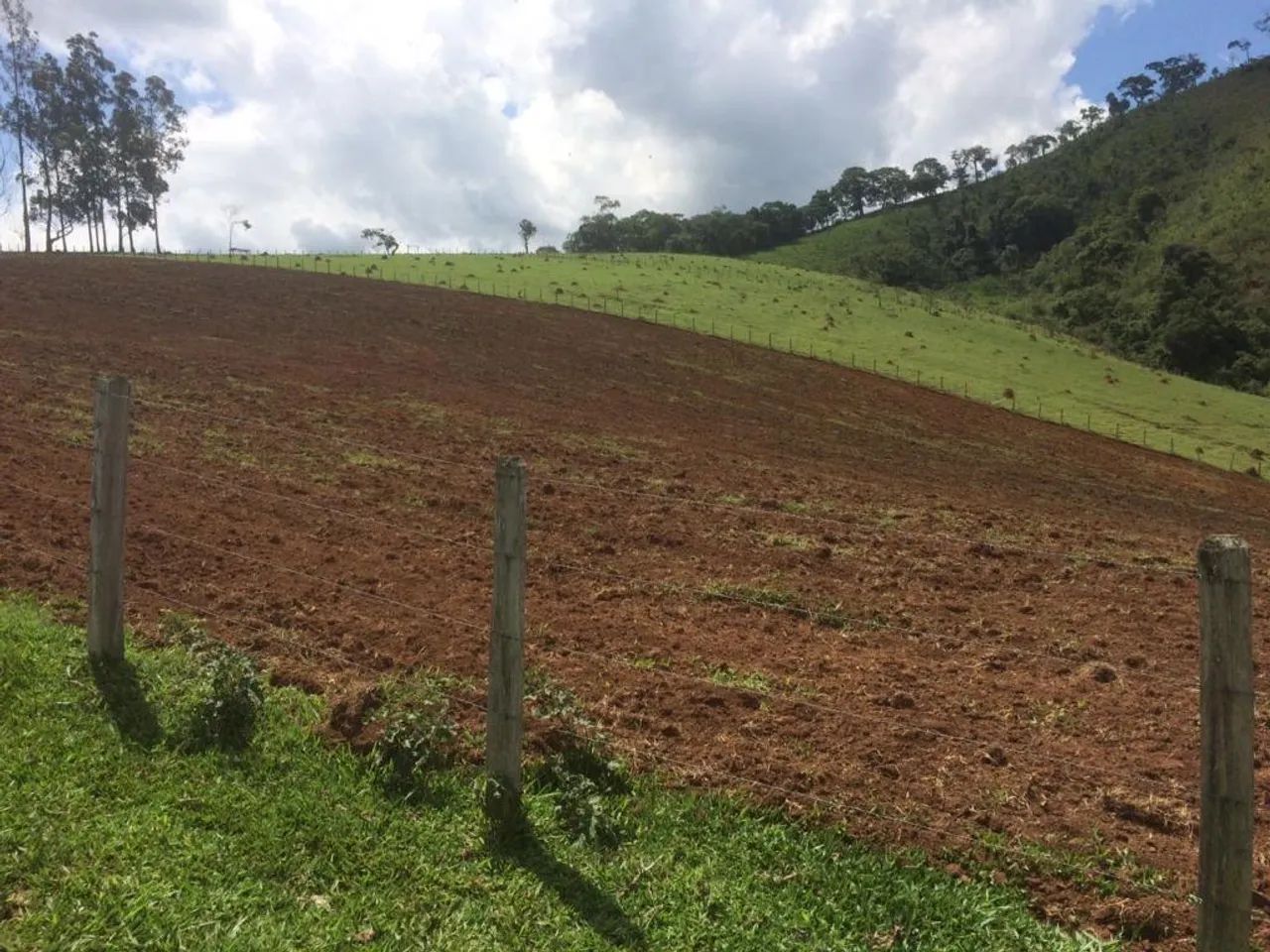 Fazenda - Município Cambuí-MG - Foto 3