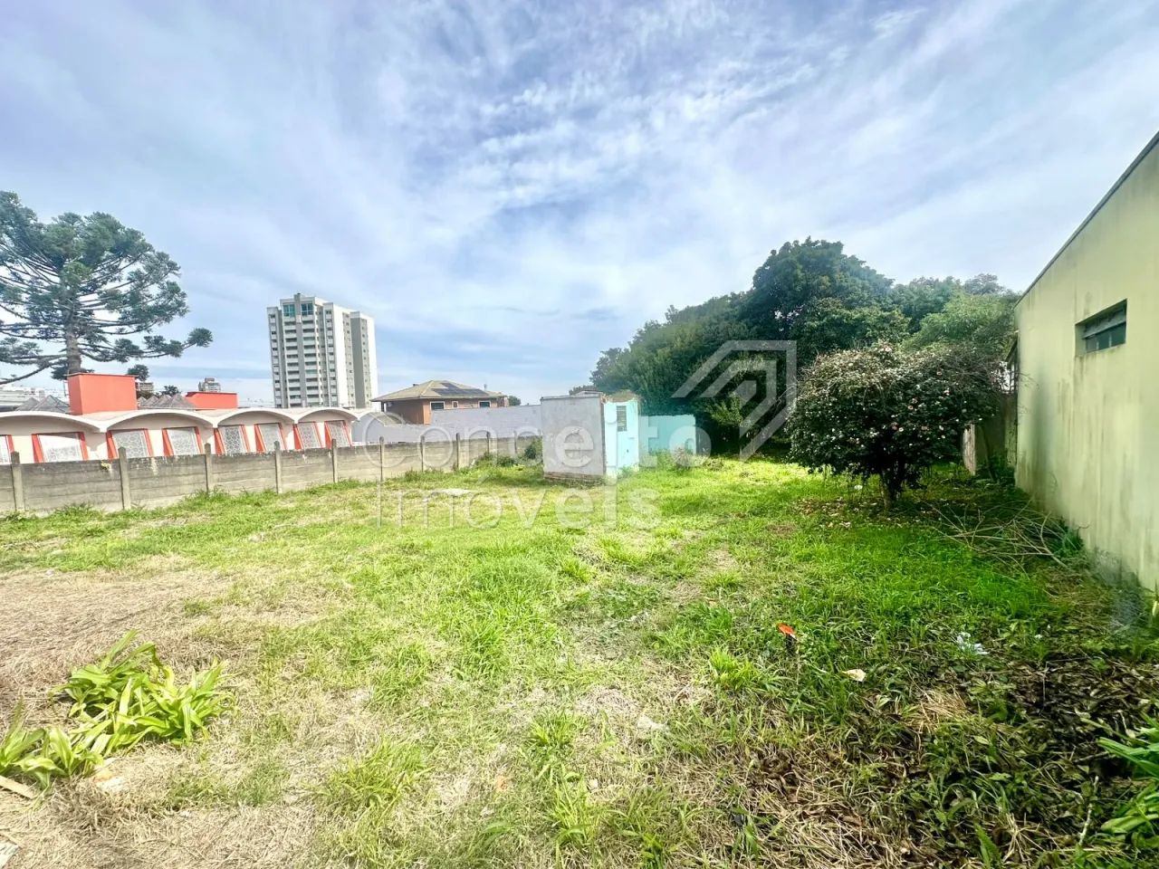 Terreno com 1246m² - Órfãs - Foto 5