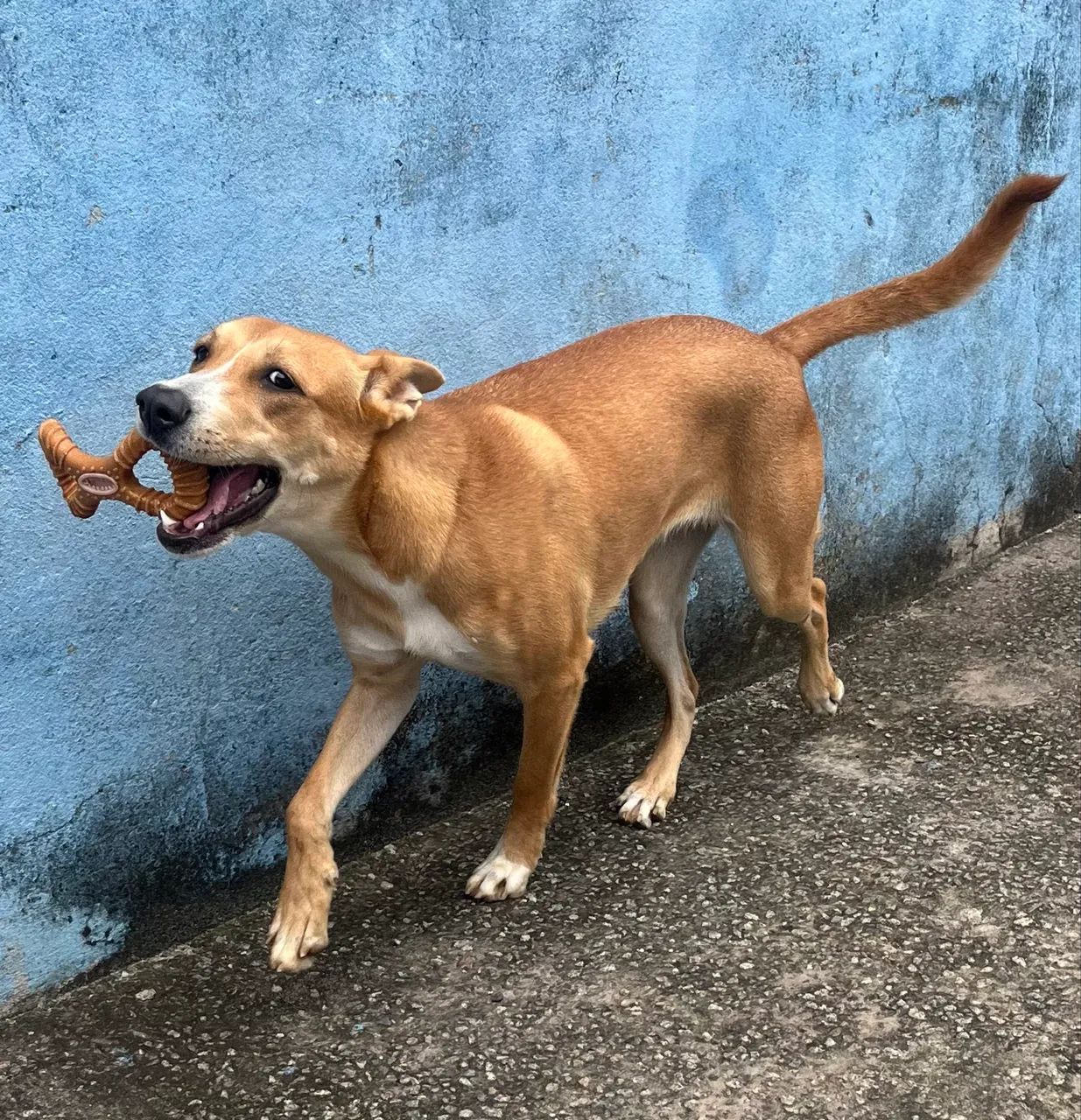 Doação  - Foto 2