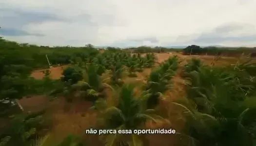 Vendo excelente chácara com 1.100m² na cidade de Patos/PB - Foto 5