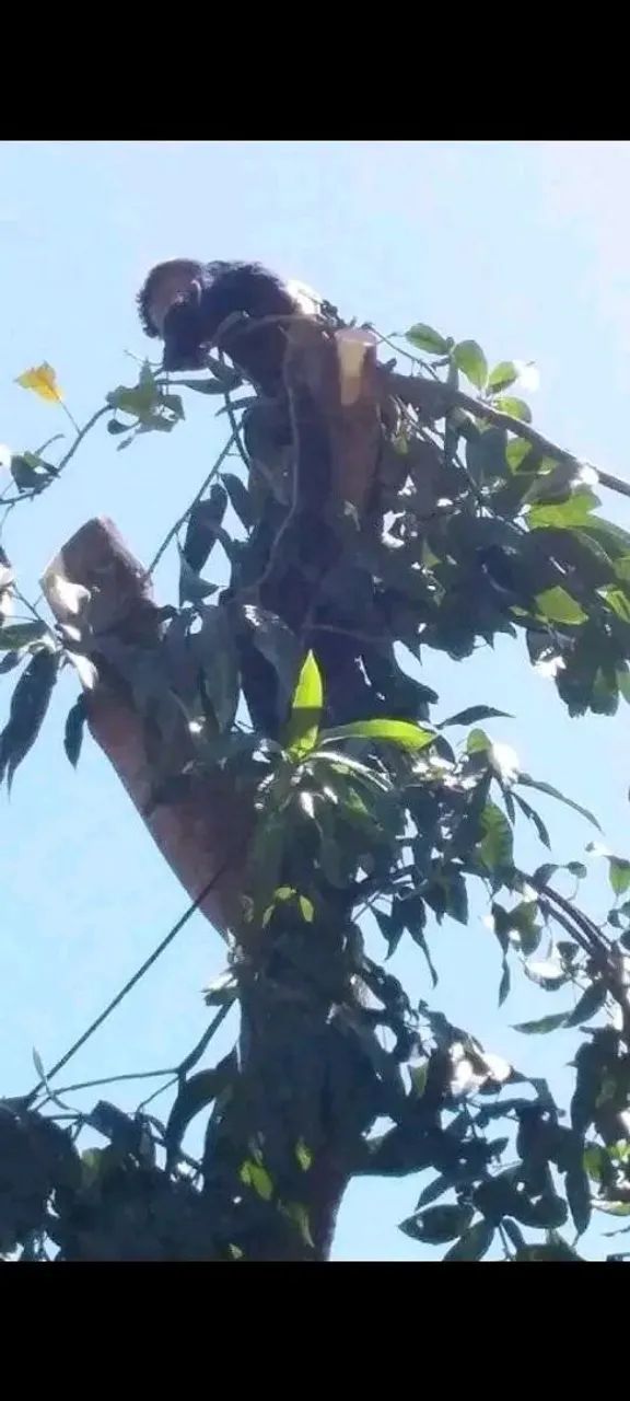 CORTES E POLDAGENS  - Foto 2