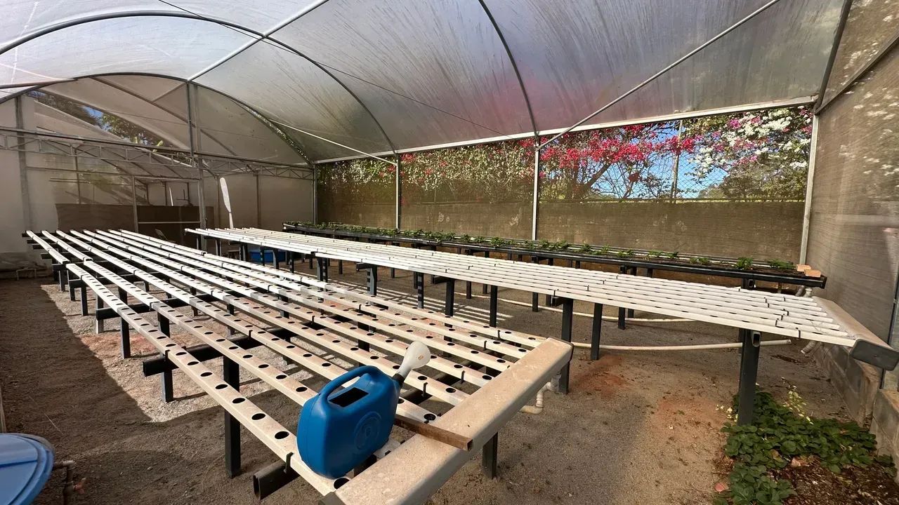 Imóvel para venda tem 20000 metros quadrados com 3 quartos - Foto 4