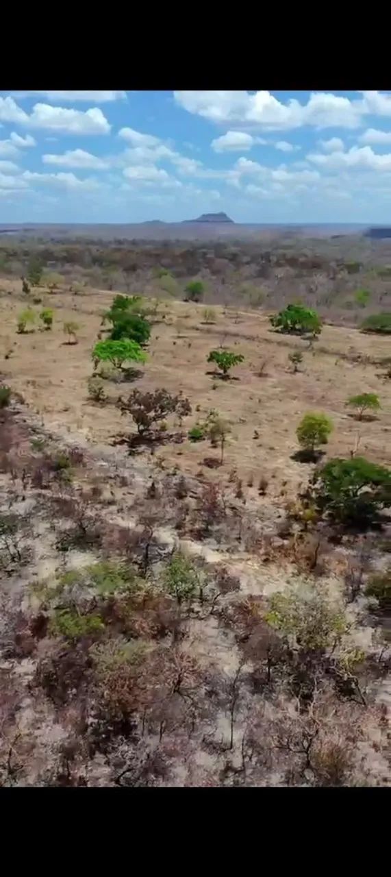 1.000 ha a venda no Piauí  - Foto 4
