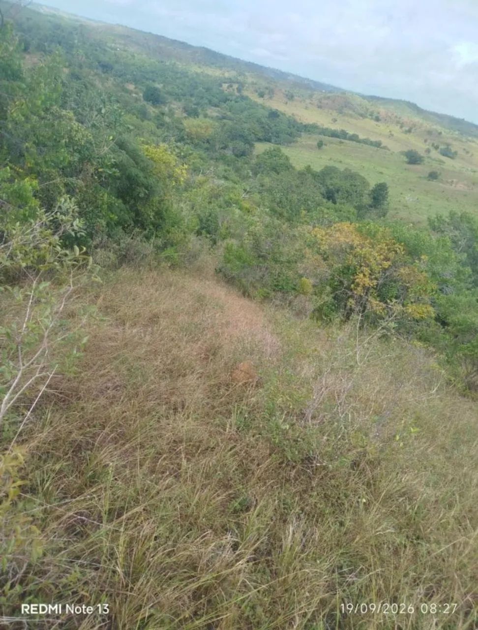 Sítio a venda - Foto 5