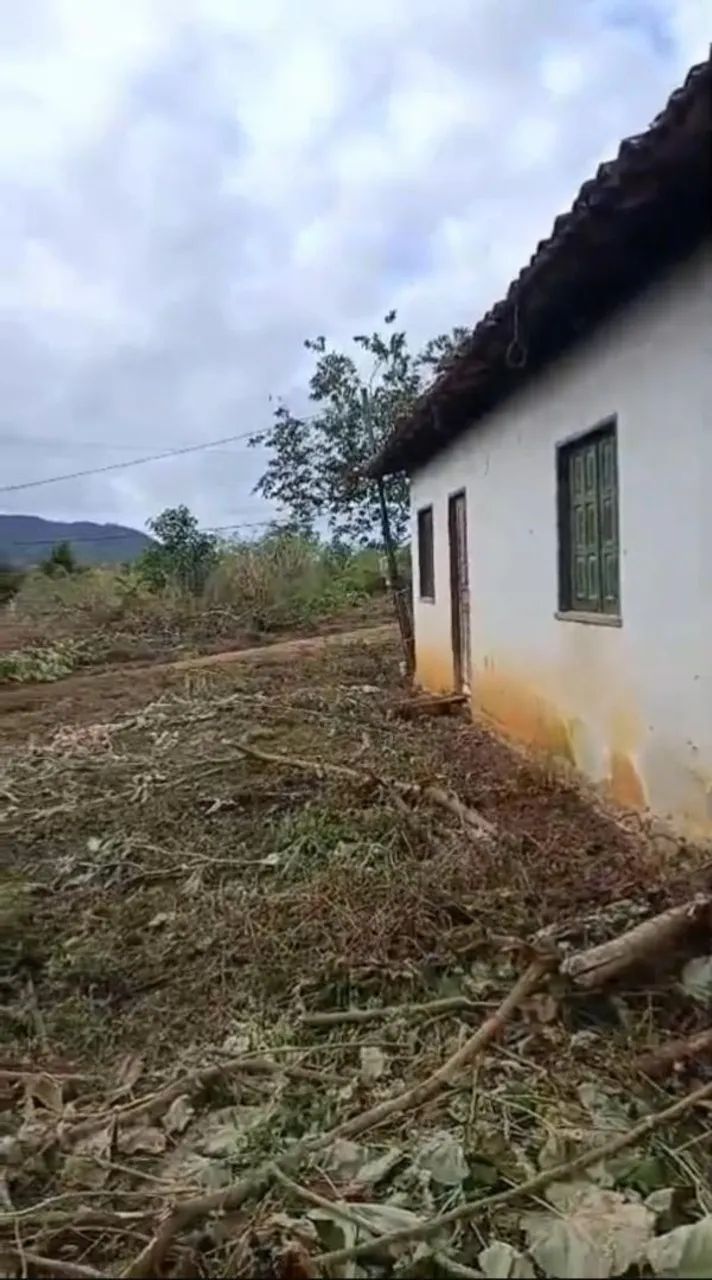 Vende-se sítio oportunidade  - Foto 5