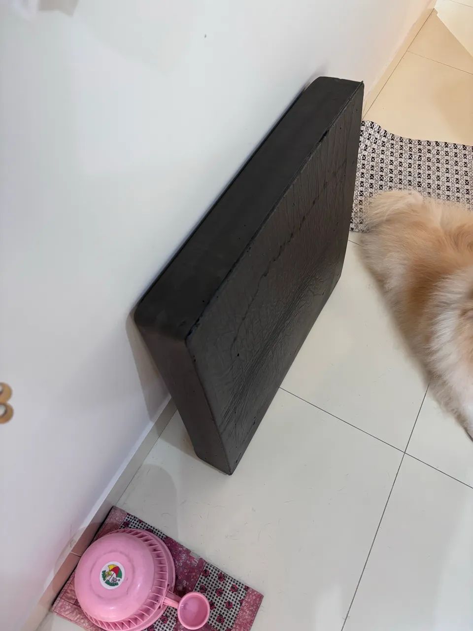 CAMA Zee Dog - Foto 4
