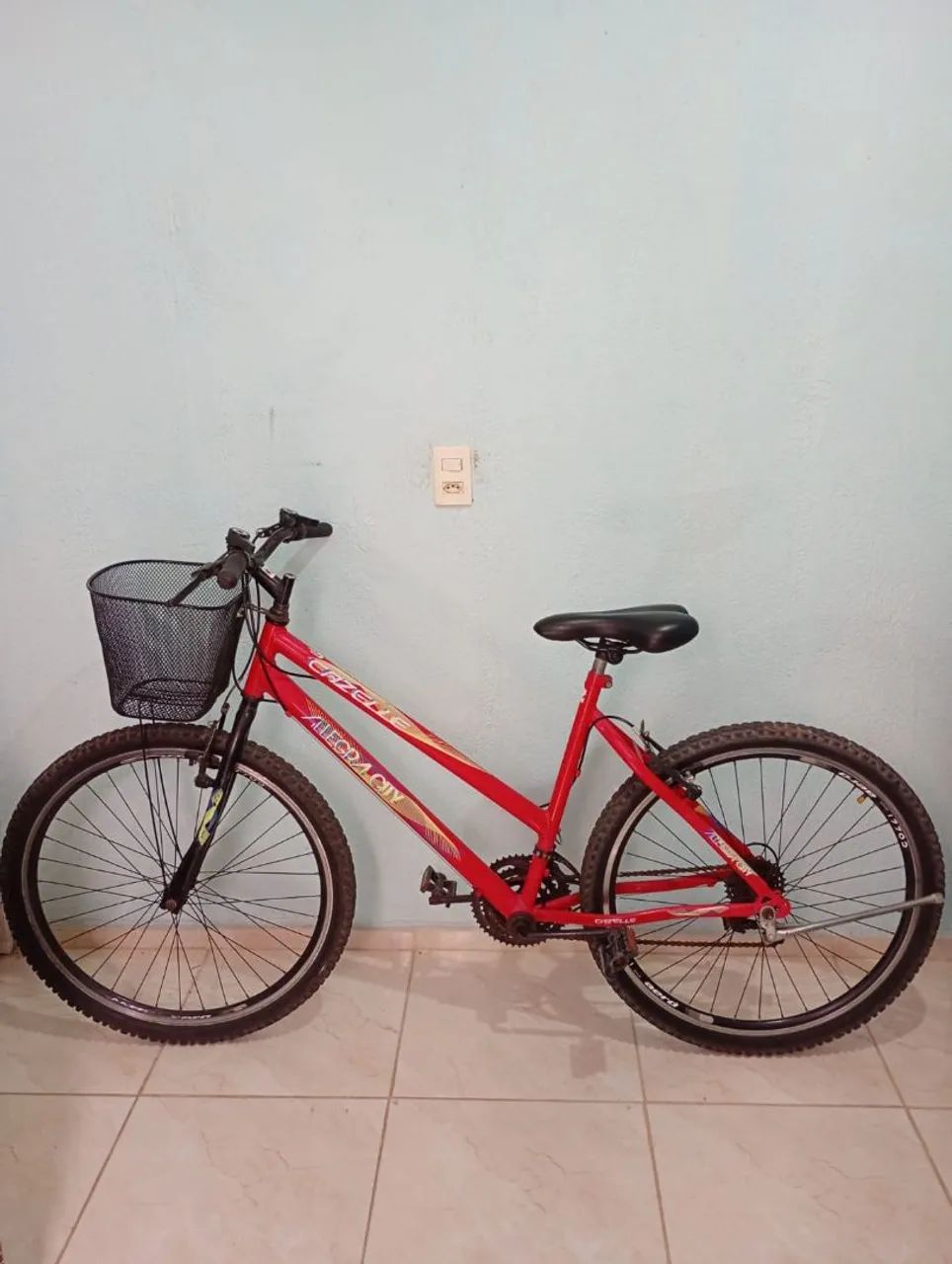 Bicicleta 