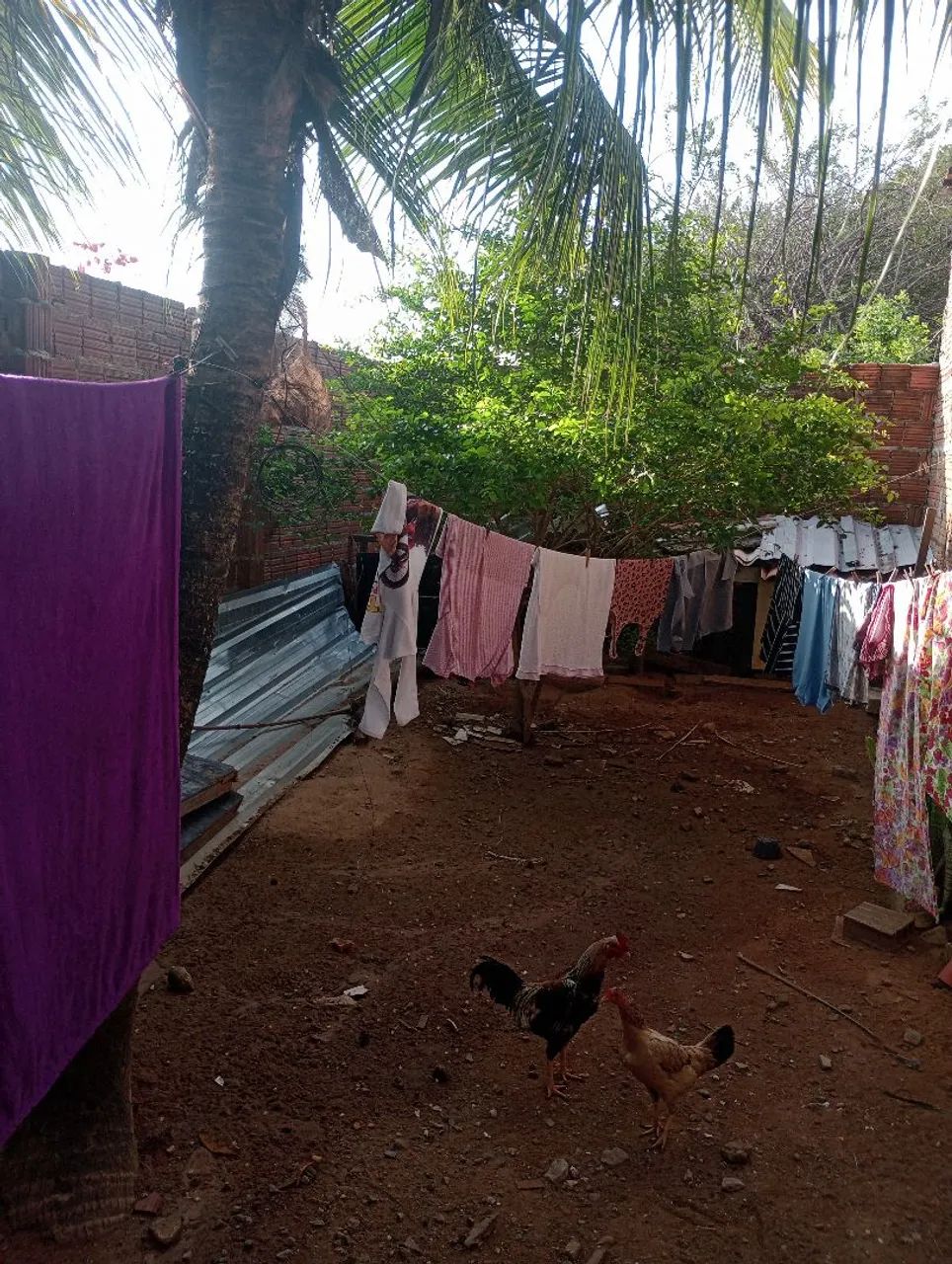 Vendo casa com terreno ao lado e um ótimo quintal  - Foto 2