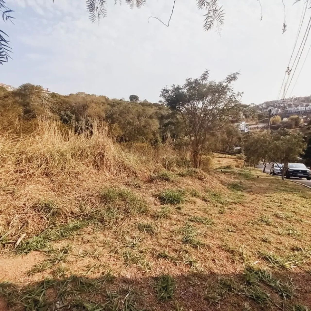 Lote / Terreno - Parque do Império - Foto 5