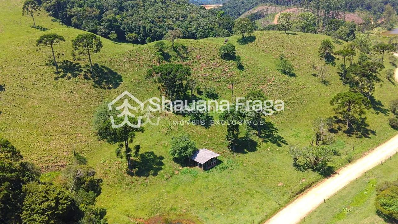Terreno Rural - Foto 5