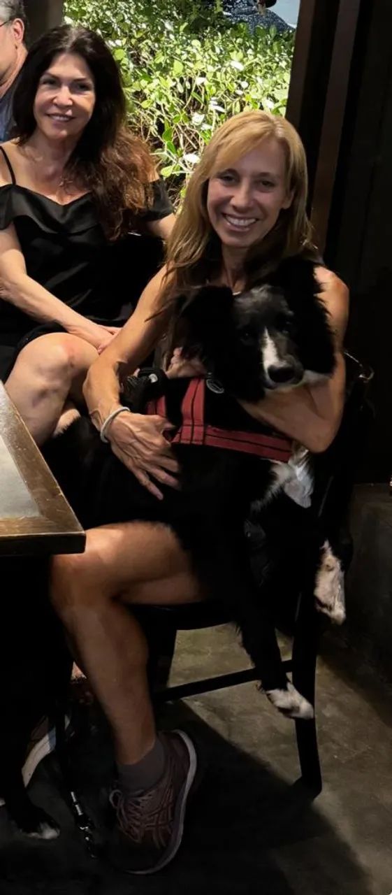 Dogwalker - Passeios com cães  - Foto 2