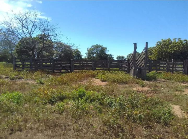 Sítio à Venda - Ótima Oportunidade! - Foto 2