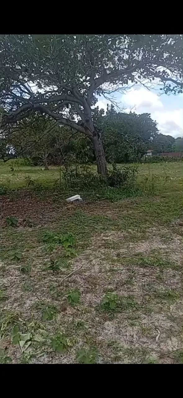 Vendo 8 lotes, terreno - Foto 4