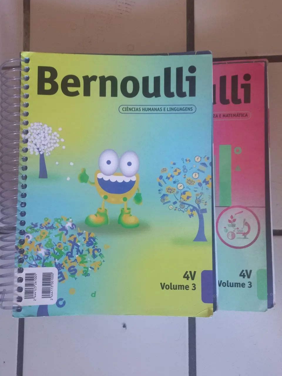 Bernoulli Grade 3 Books, Volume 3, Second-hand