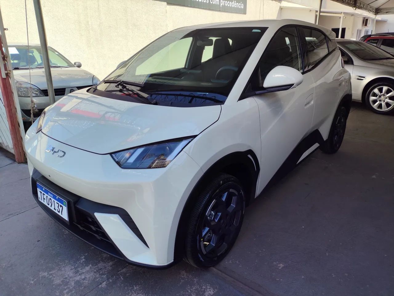 BYD Dolphin Mini (Elétrico) 2027