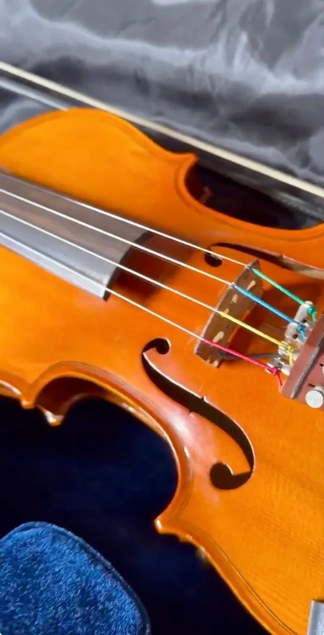 Violino Eagle VK-144 - Foto 4