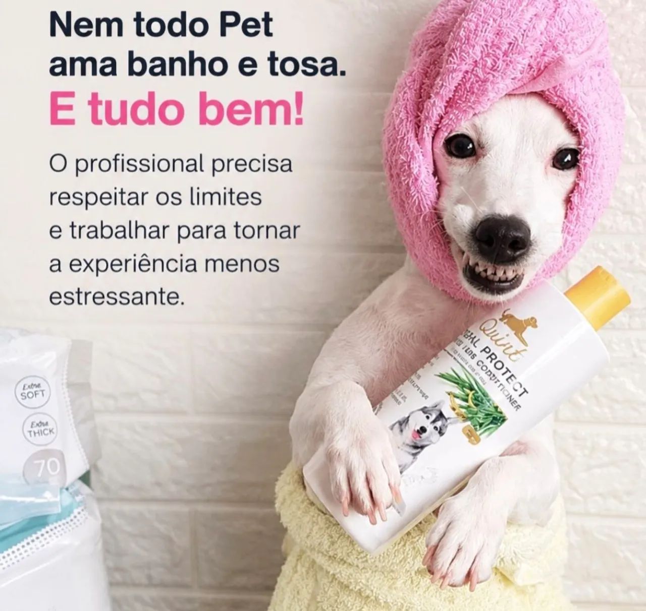 Banho e tosa  - Foto 5