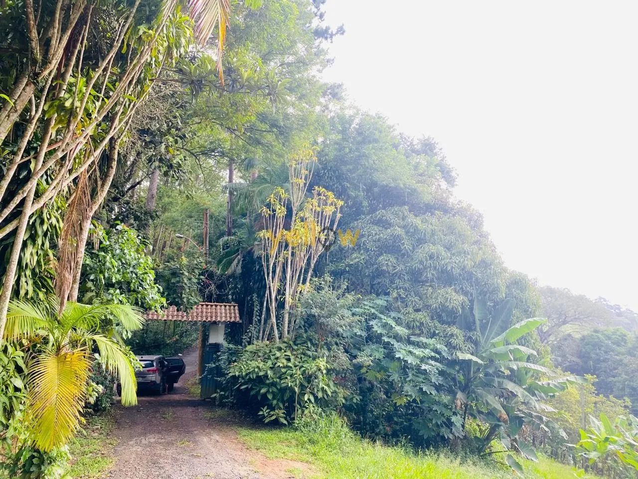 Sítio em Mirante - Arujá - Foto 5
