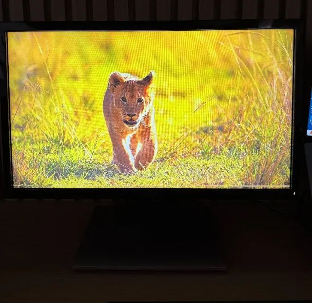 Monitor Dell SE2216H Full HD 22" - Foto 4