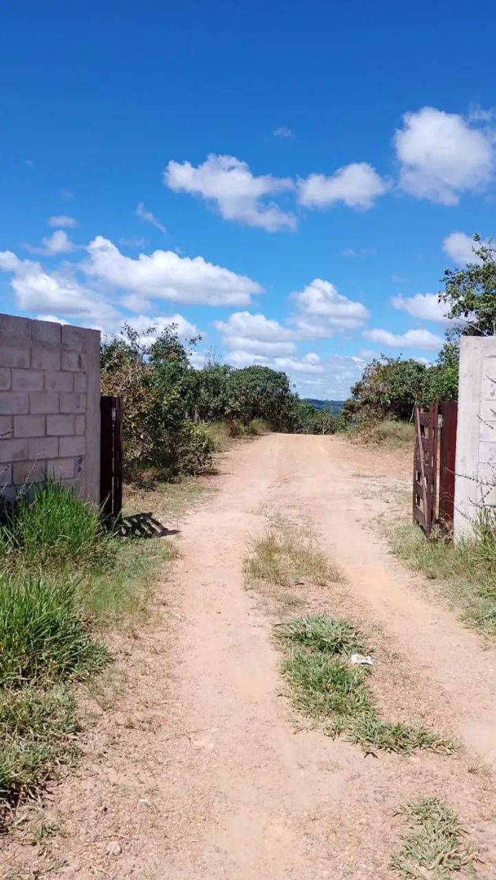 Vendo chácaras de 20.000mts 8.000 - Foto 2