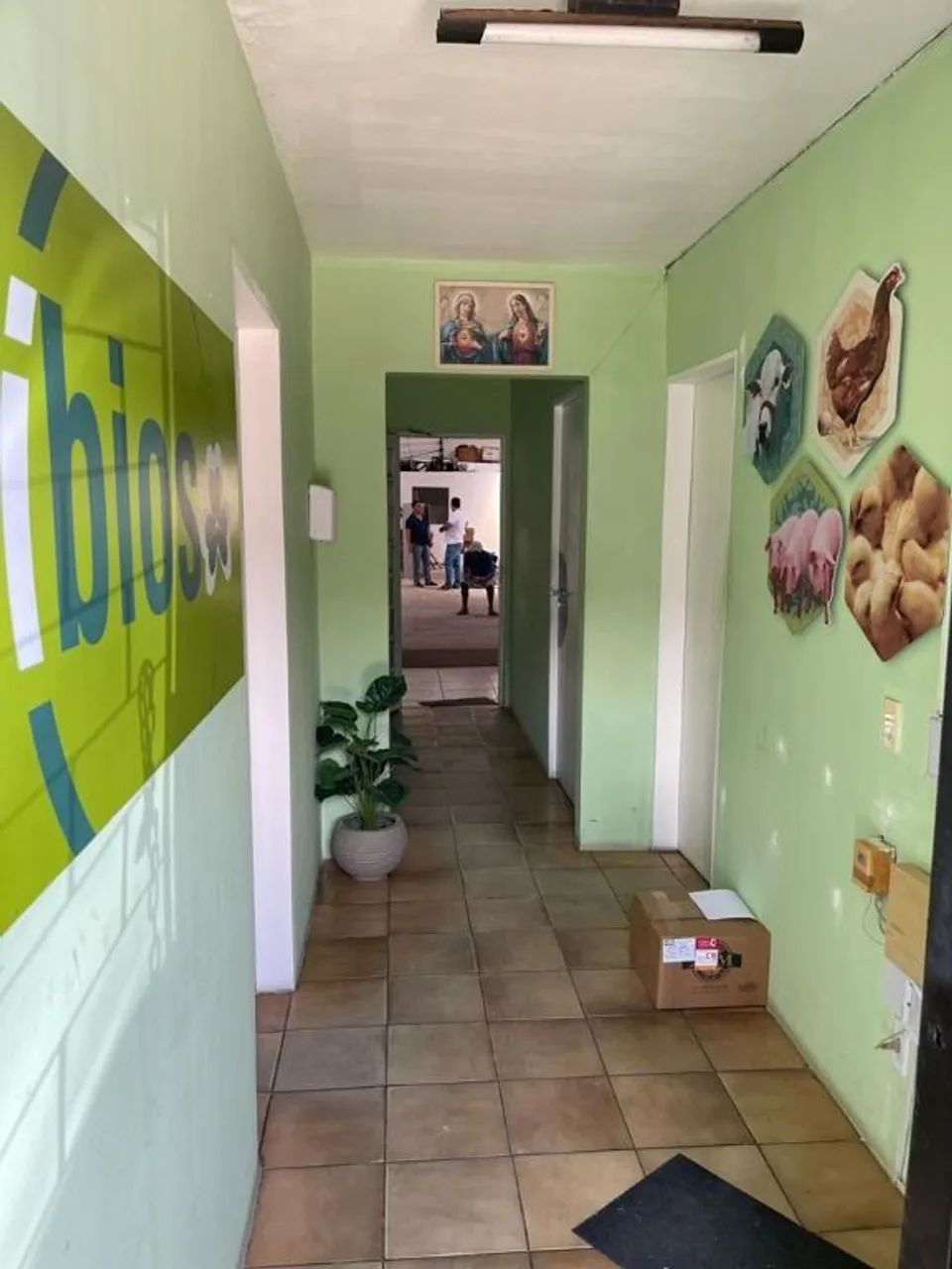 Galpão no bairro Barroso - Foto 5
