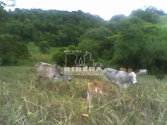 VENDA - SÍTIO APARECIDA / SOROCABA/SP - Foto 2