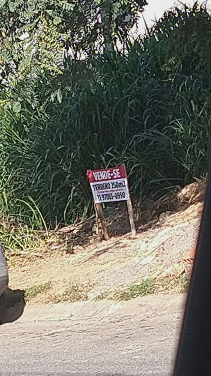 Foto - Vinhedo - Santa Cândida