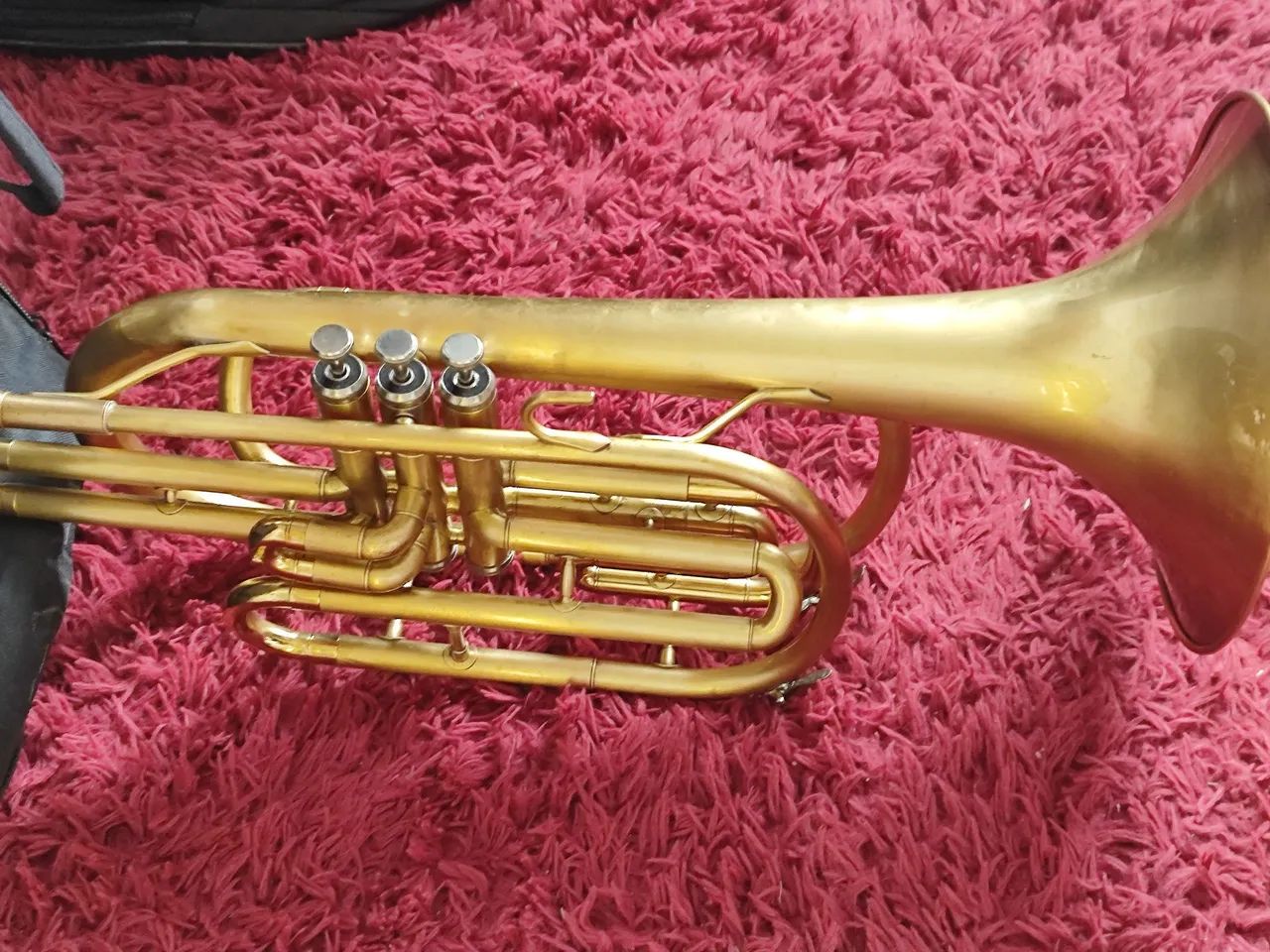Trombonito BM - Foto 5